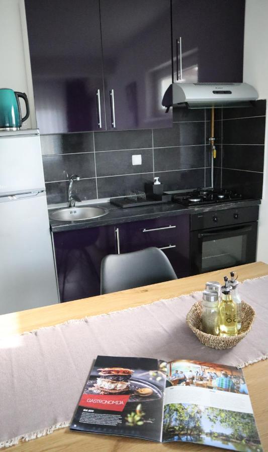 Apartment Sandra Toplice Sveti Martin Sveti Martin Na Muri Luaran gambar