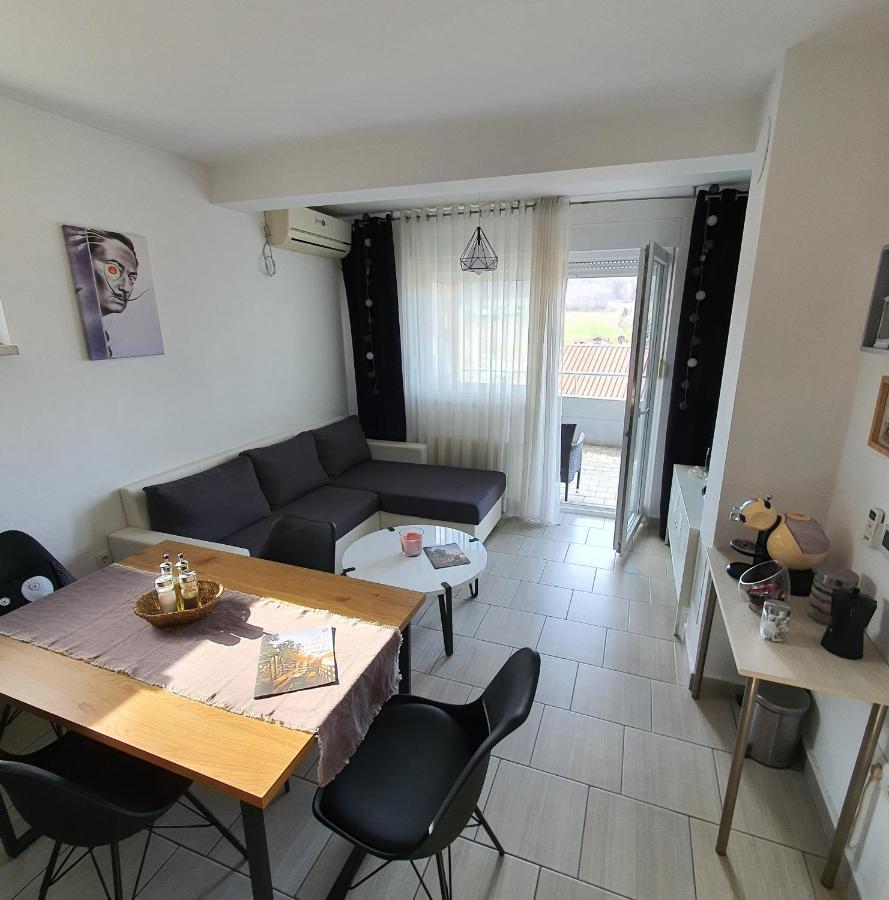 Apartment Sandra Toplice Sveti Martin Sveti Martin Na Muri Luaran gambar