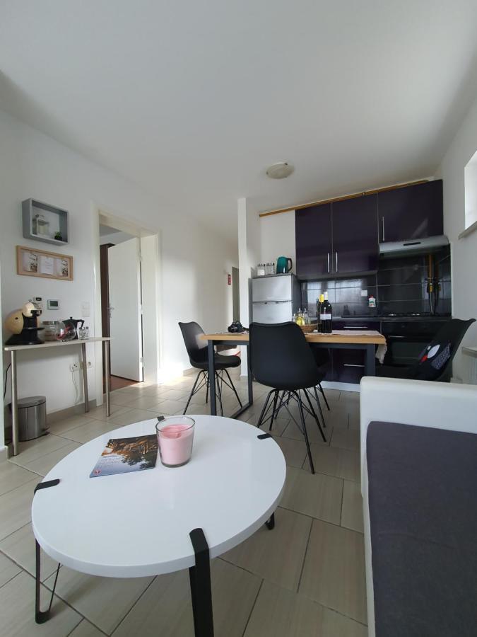 Apartment Sandra Toplice Sveti Martin Sveti Martin Na Muri Luaran gambar